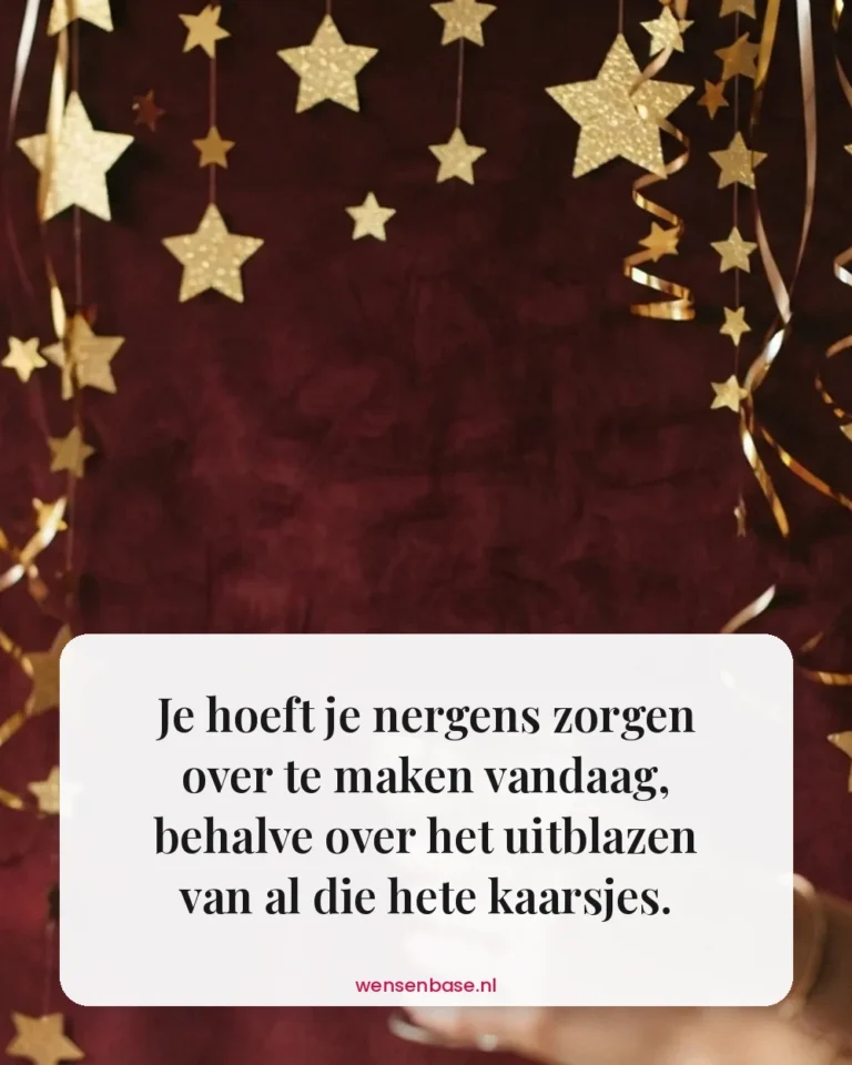 Je hoeft je nergens zorgen over te maken vandaag, behalve over het uitblazen van al die hete kaarsjes.